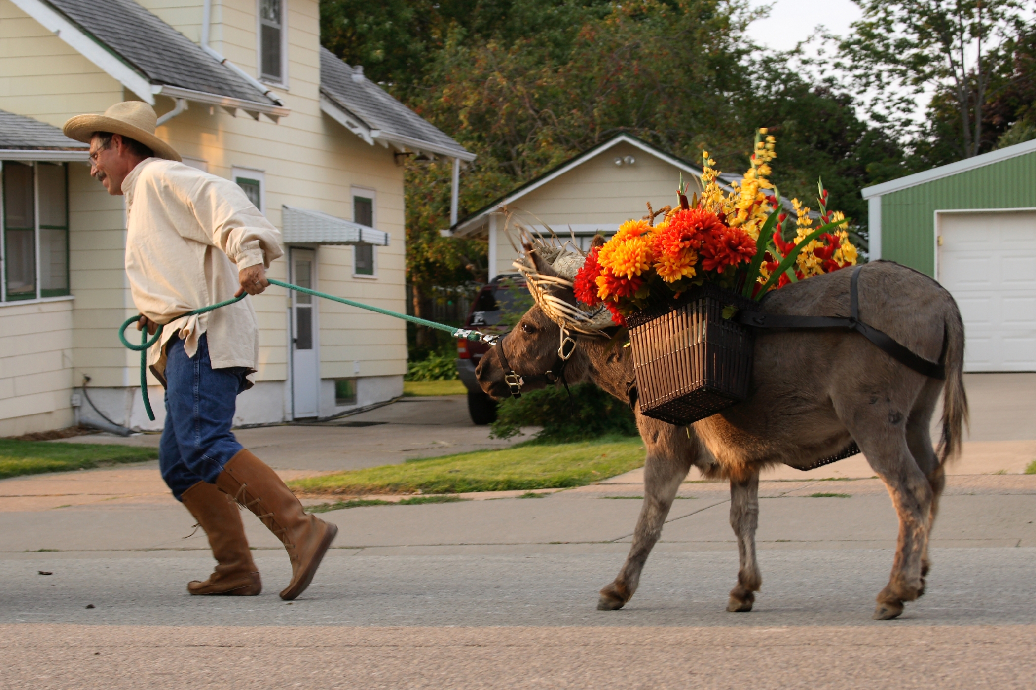 "Lilsten Here Buddy", by Darin, on Flickr. Republished under Creative Commons License by-nc-nd 2.0